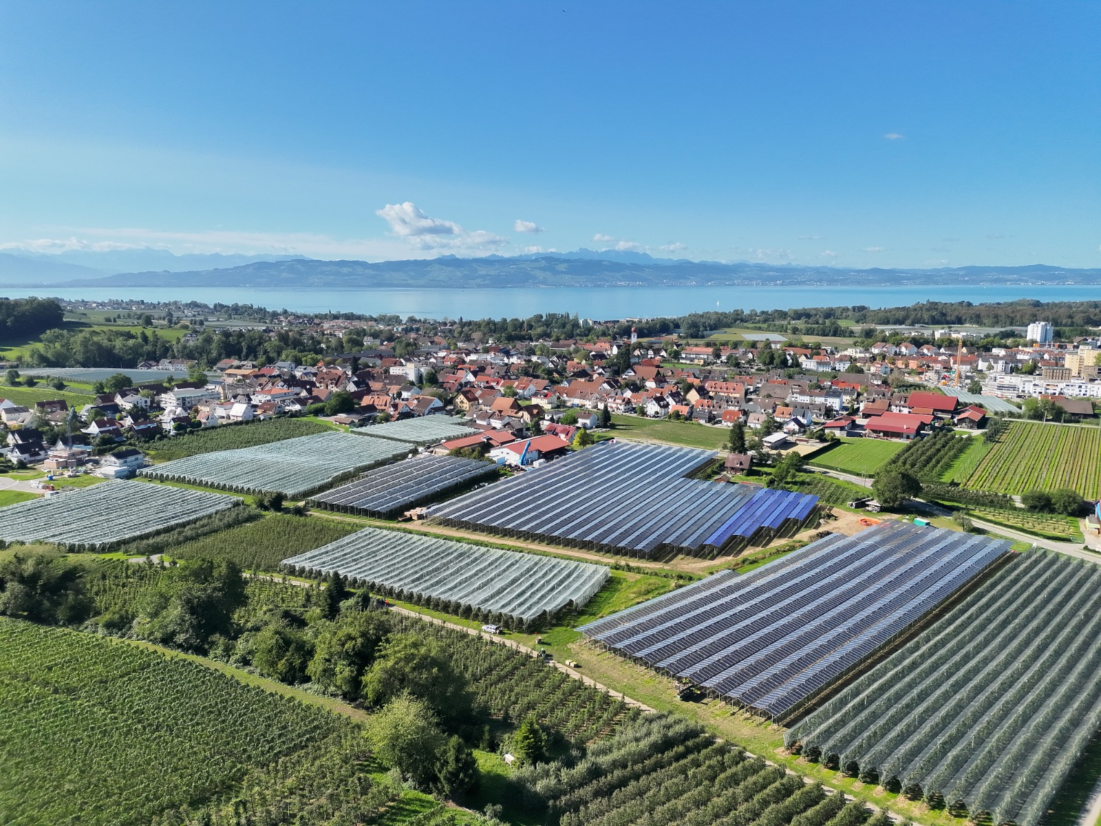 Agri-PV: Batteriespeicher machen Projekte wirtschaftlich